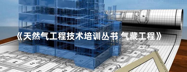 《天然气工程技术培训丛书 气藏工程》2017版